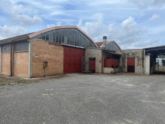 Locale Commerciale in affitto a Terricciola, Toscana