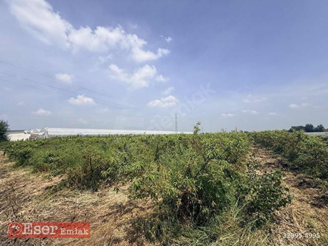 Seyhan, Adana içerisinde satılık mülk