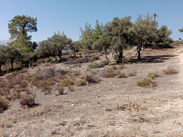 Yatağan, Muğla içerisinde satılık mülk