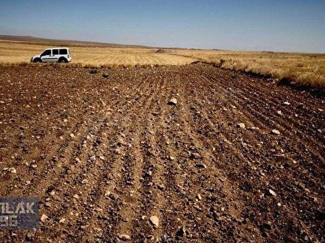 Arslanlı, Çifteler içerisinde satılık Arsa
