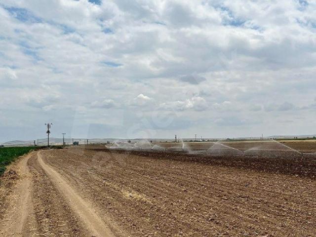 Orhaniye, Çifteler içerisinde satılık Arsa