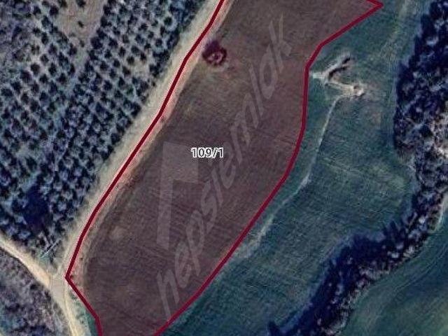 Tarsus, Mersin içerisinde satılık Arsa