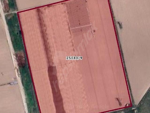 Yassıhöyük, Odunpazarı içerisinde satılık Arsa