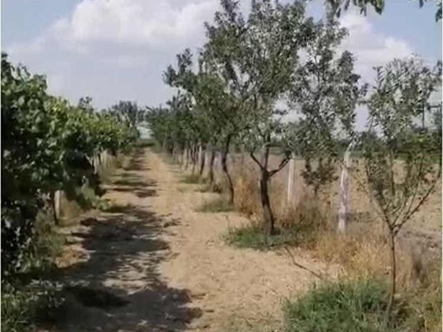 Günyüzü, Eskişehir içerisinde satılık Arsa