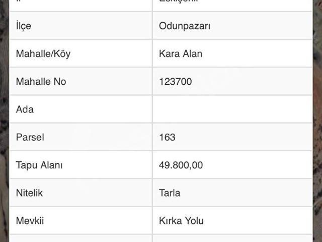 Karaalan, Odunpazarı içerisinde satılık Arsa