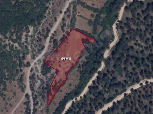 Eskipazar, Karabük içerisinde satılık Arsa