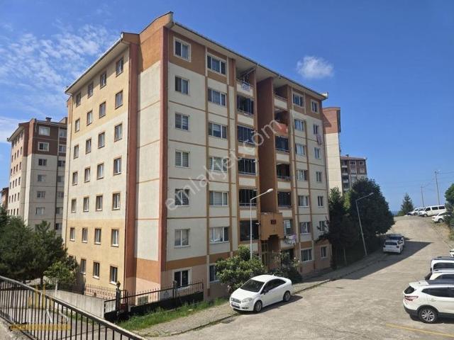 Ordu içerisinde kiralık mülk