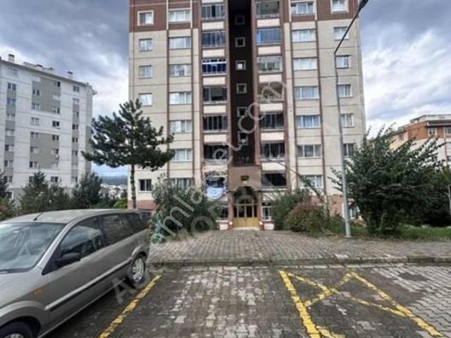 Eskipazar Mahallesi, Altınordu içerisinde kiralık mülk