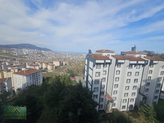 Ordu içerisinde kiralık mülk