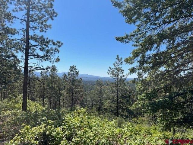 Land for sale in Pagosa Springs, Colorado