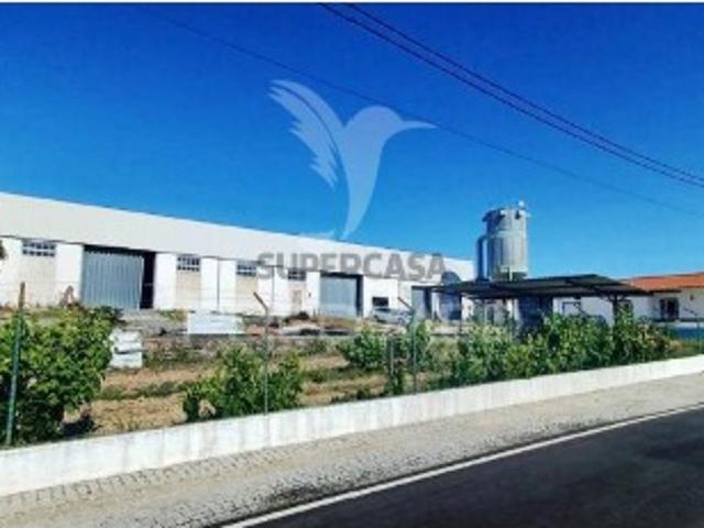 Armazém venda em Portalegre
