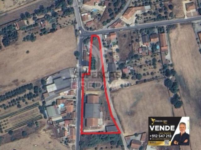 Armazém venda em Santarém