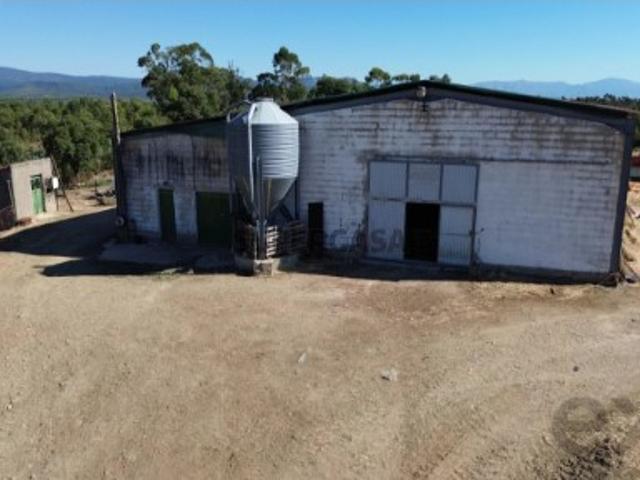 Armazém venda em Castelo Branco, Penamacor