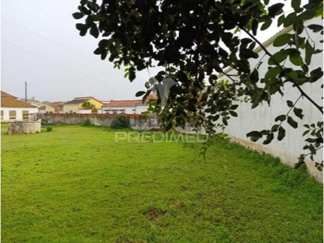 Armazém venda em Santarém
