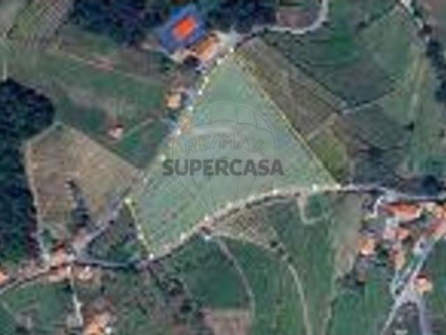 Armazém venda em Peso Da Régua, Vila Real