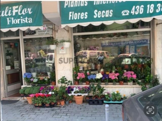 Armazém venda em Sintra, Vale de Carenque