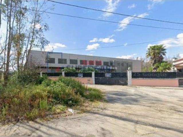 Armazém venda em Á-dos-Ferreiros, Águeda