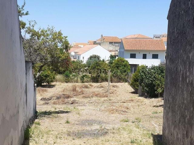 Terreno venda em Santarém