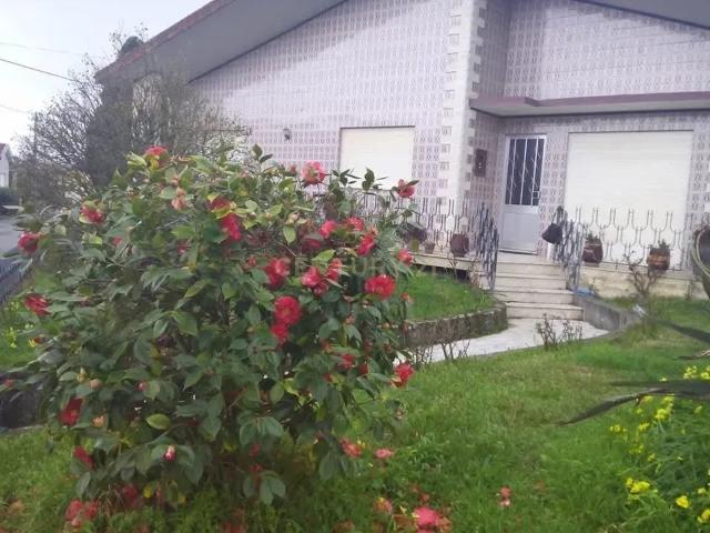 Casa venda em Póvoa de Bustos, Oliveira Do Bairro