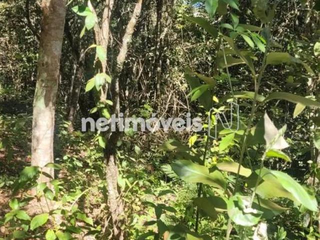 Terreno venda em Região Geográfica Imediata do Distrito Federal, Região Integrada de Desenvolvimento do Distrito Federal e Entorno