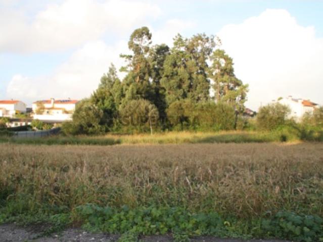 Terreno venda em Aveiro