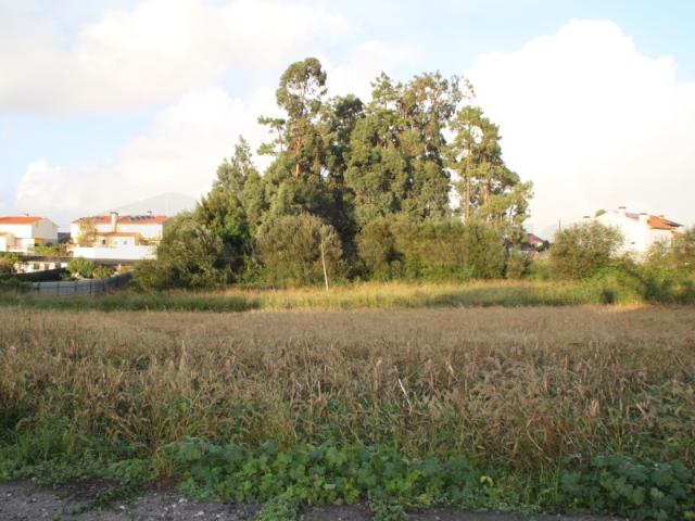 Terreno venda em São Bernardo, Aveiro