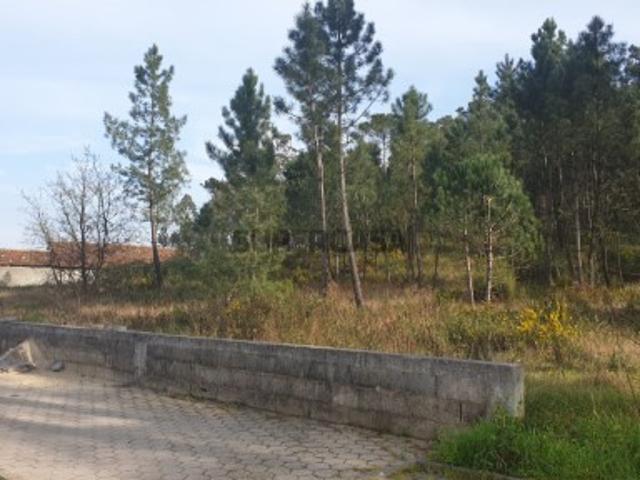 Terreno venda em Oliveira Do Bairro, Aveiro