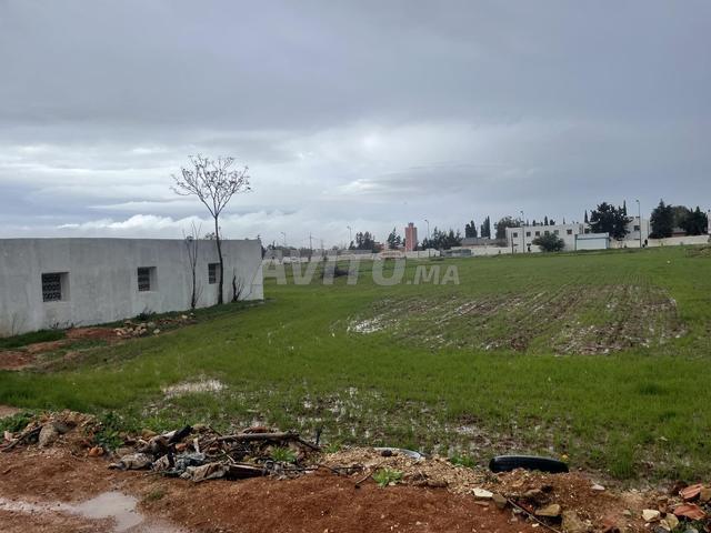 Local commercial location à Meknès