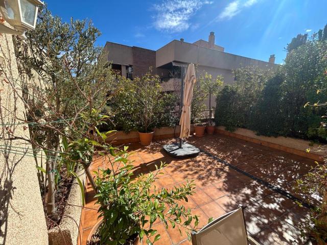 Ático en alquiler en Zaidín - Vergeles, Granada