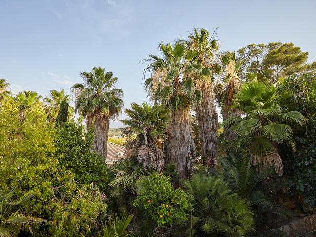 Casa en venta en Jaén, Andalucía