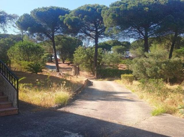 Local Comercial en venta en Valverde del Camino, Huelva