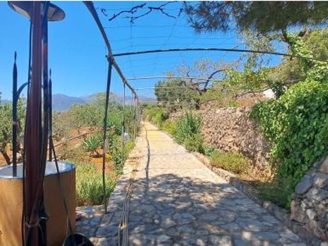 Local Comercial en venta en Felix, Andalucía