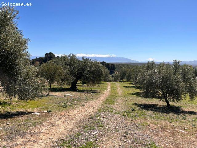 Local Comercial en venta en Comarca de Loja, Andalucía