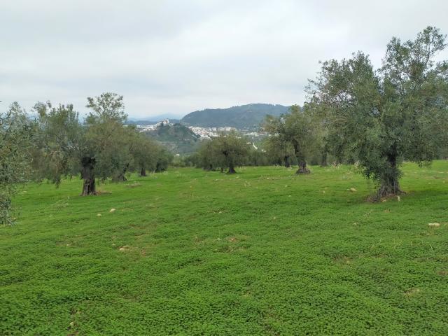 Chalet en venta en Sierra de las Nieves, Andalucía