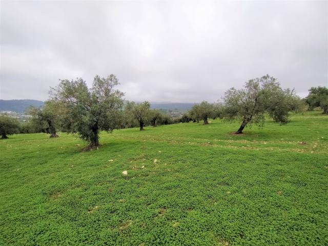 Chalet en venta en Sierra de las Nieves, Andalucía