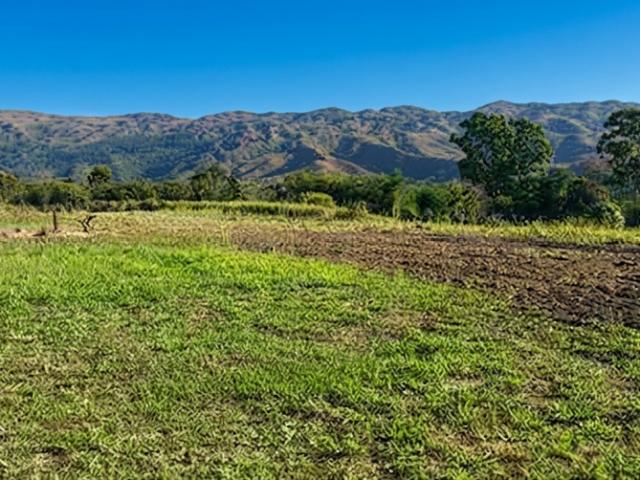 Finca en venta en Miguel Peña, Valencia