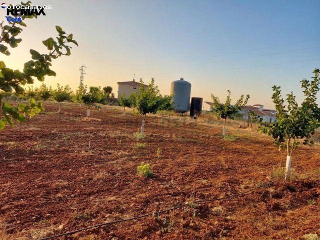 Local Comercial en venta en Sierra Suroeste, Extremadura