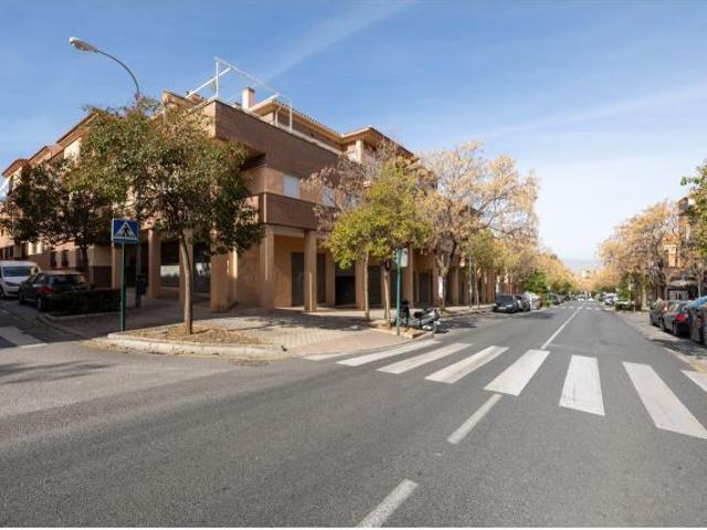 Local Comercial en alquiler en Genil, Comarca de la Vega de Granada