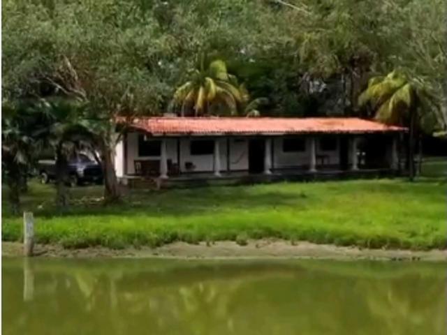 Finca en venta en Portuguesa