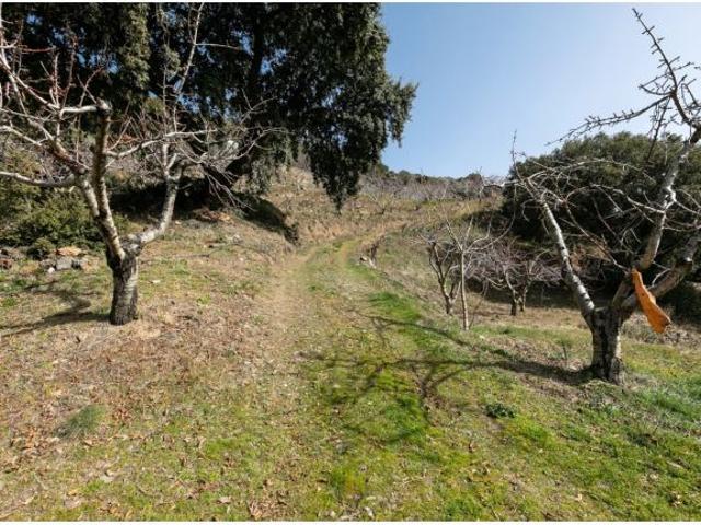 Local Comercial en venta en Güejar Sierra, Granada