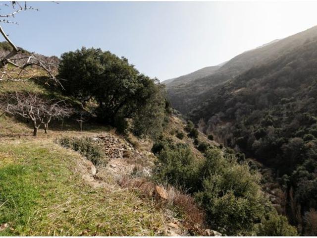 Local Comercial en venta en Comarca de la Vega de Granada, Andalucía