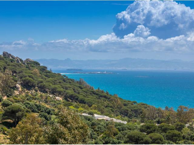Terreno en venta en Casas de Porro, Campo de Gibraltar