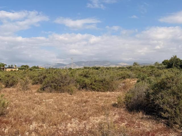 Terreno en venta en Algoda, el Baix Vinalopó