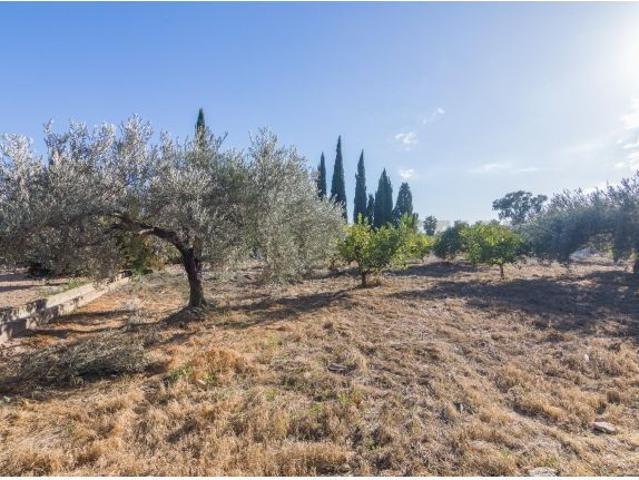 Casa en venta en l'Alacantí, Valencia