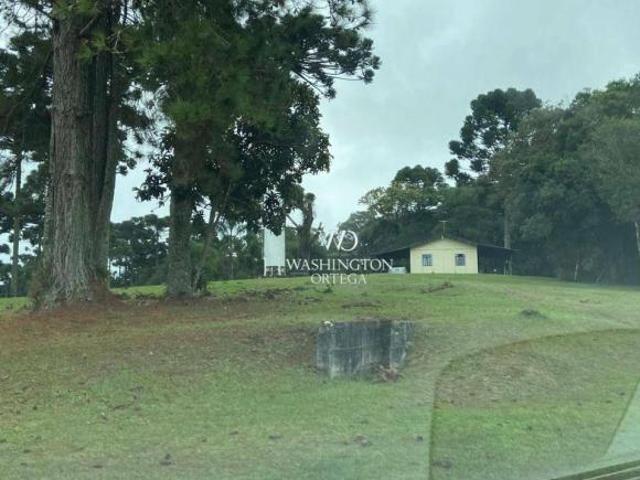 Sítio e chácara venda em Região Geográfica Imediata de Curitiba, Região Metropolitana de Curitiba