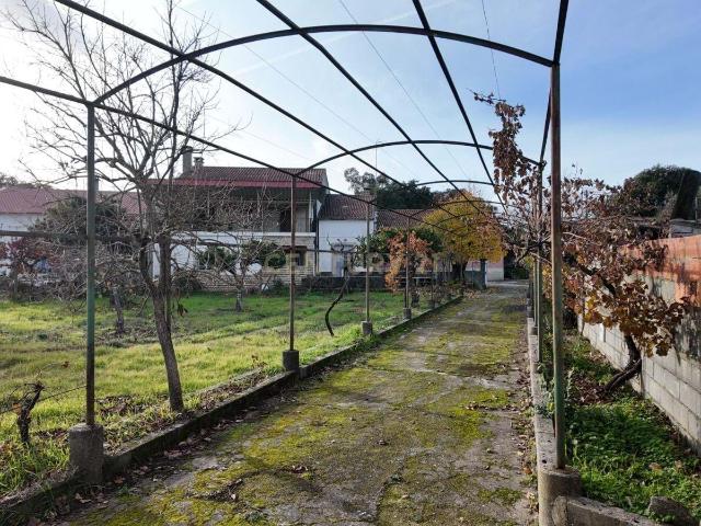Casa venda em Escalos de Baixo, Castelo Branco