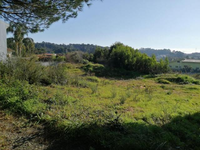Terreno venda em Anta, Aveiro