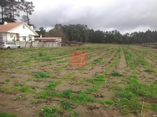 Terreno venda em Esposende, Braga