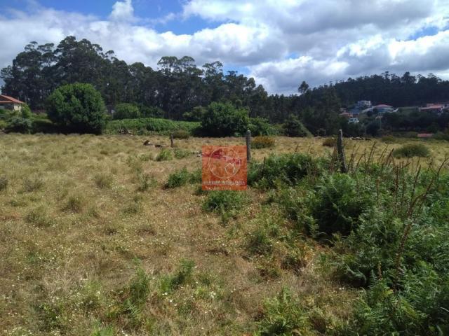 Terreno venda em Esposende, Braga