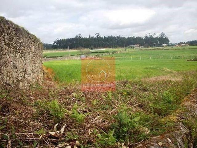 Terreno venda em Esposende, Braga